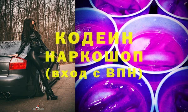 хмурый Дмитров