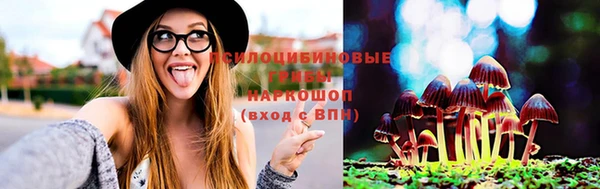 бутират Дмитровск