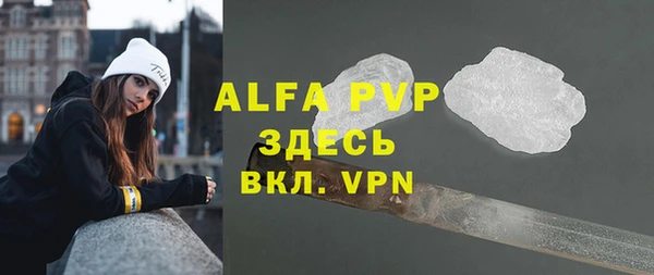хмурый Дмитров