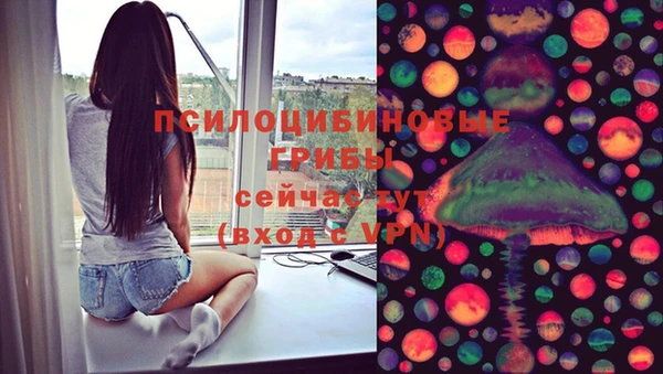 хмурый Дмитров