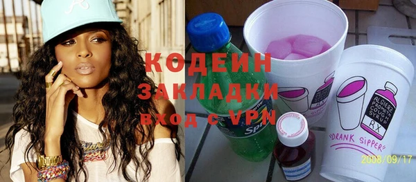 хмурый Дмитров