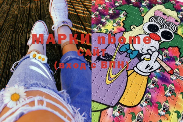 хмурый Дмитров